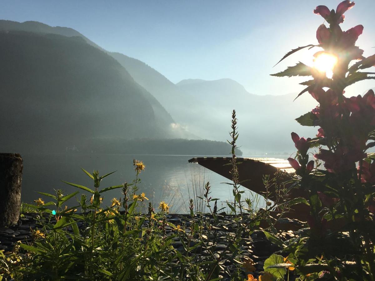 Glueck Am See - Apartment Mit Seezugang Халстат Екстериор снимка